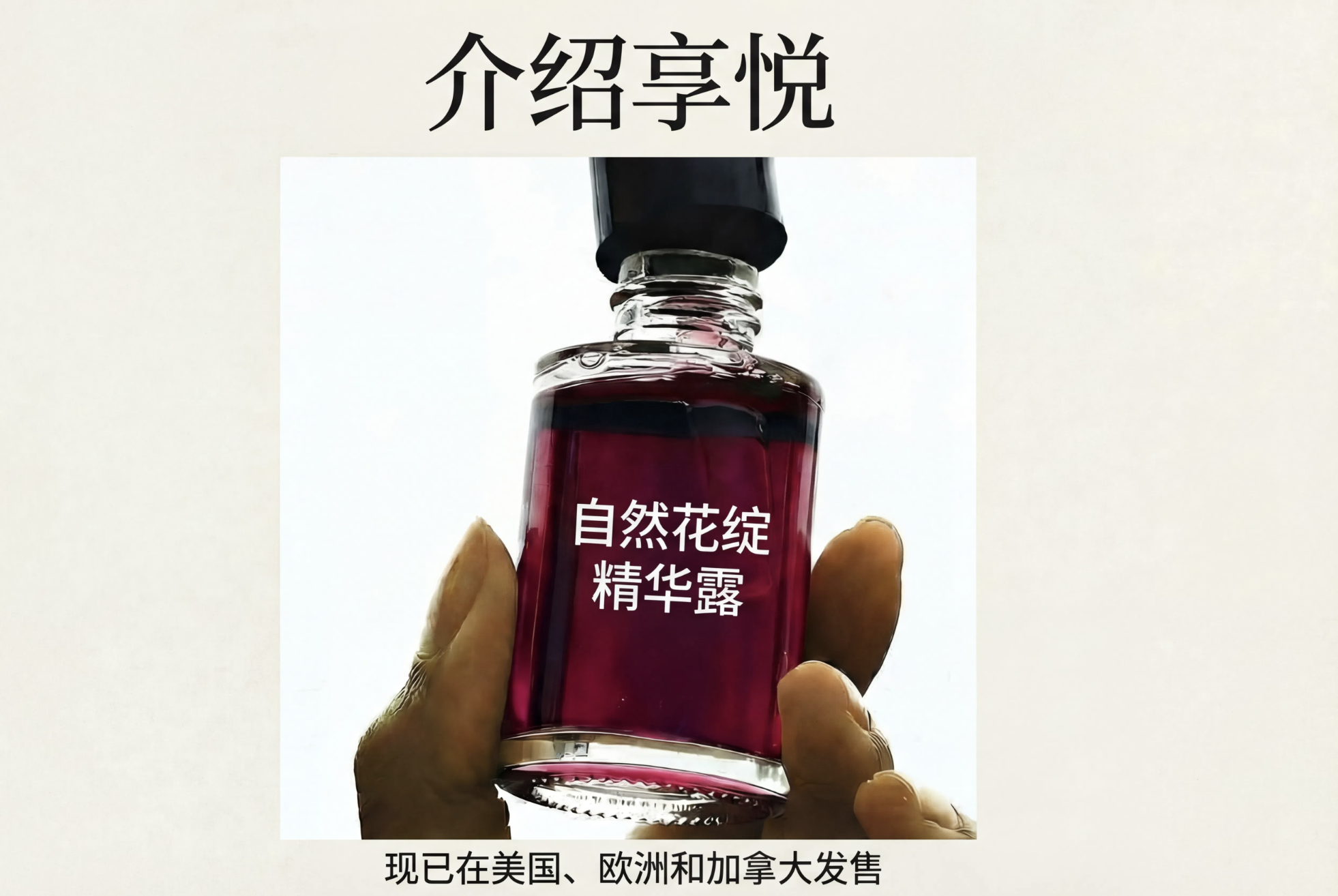 Translate Text in Image